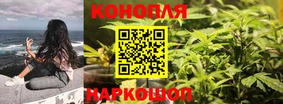 мяу мяу мука Заводоуковск