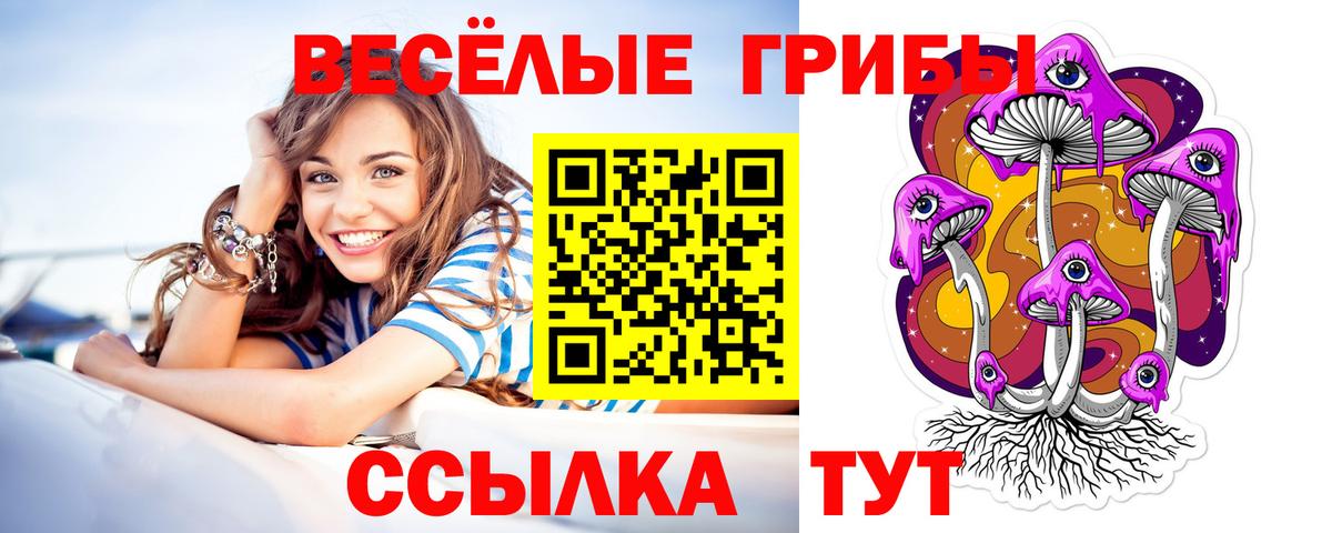 Галлюциногенные грибы Psilocybe  Вход с VPN  Лысьва 